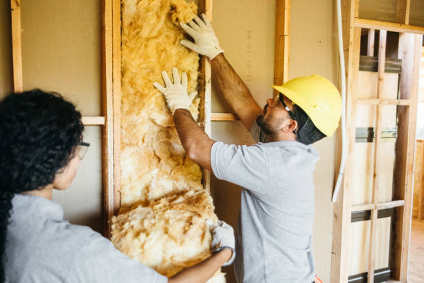Best Crawl Space Insulation  in Arcadia, IN
